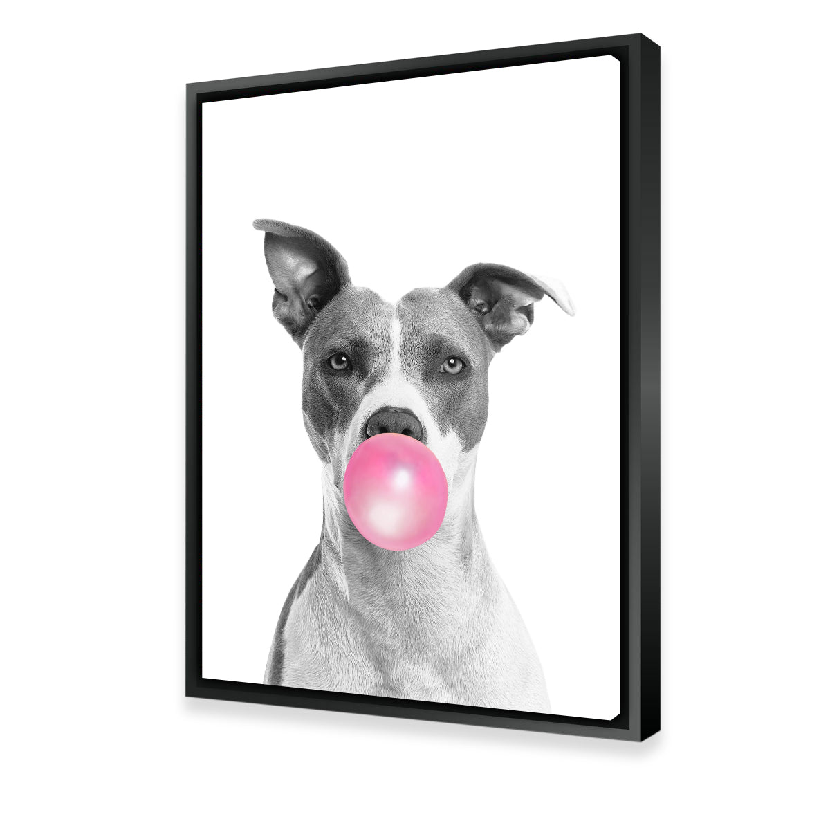 Funny Dog Wall Art