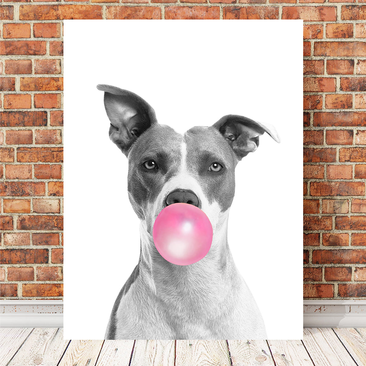 Funny Dog Wall Art