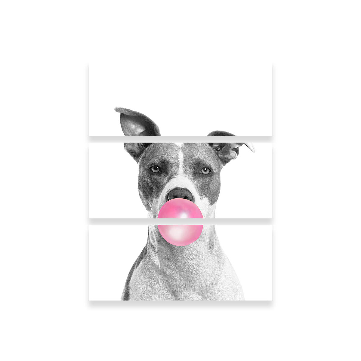 Funny Dog Wall Art