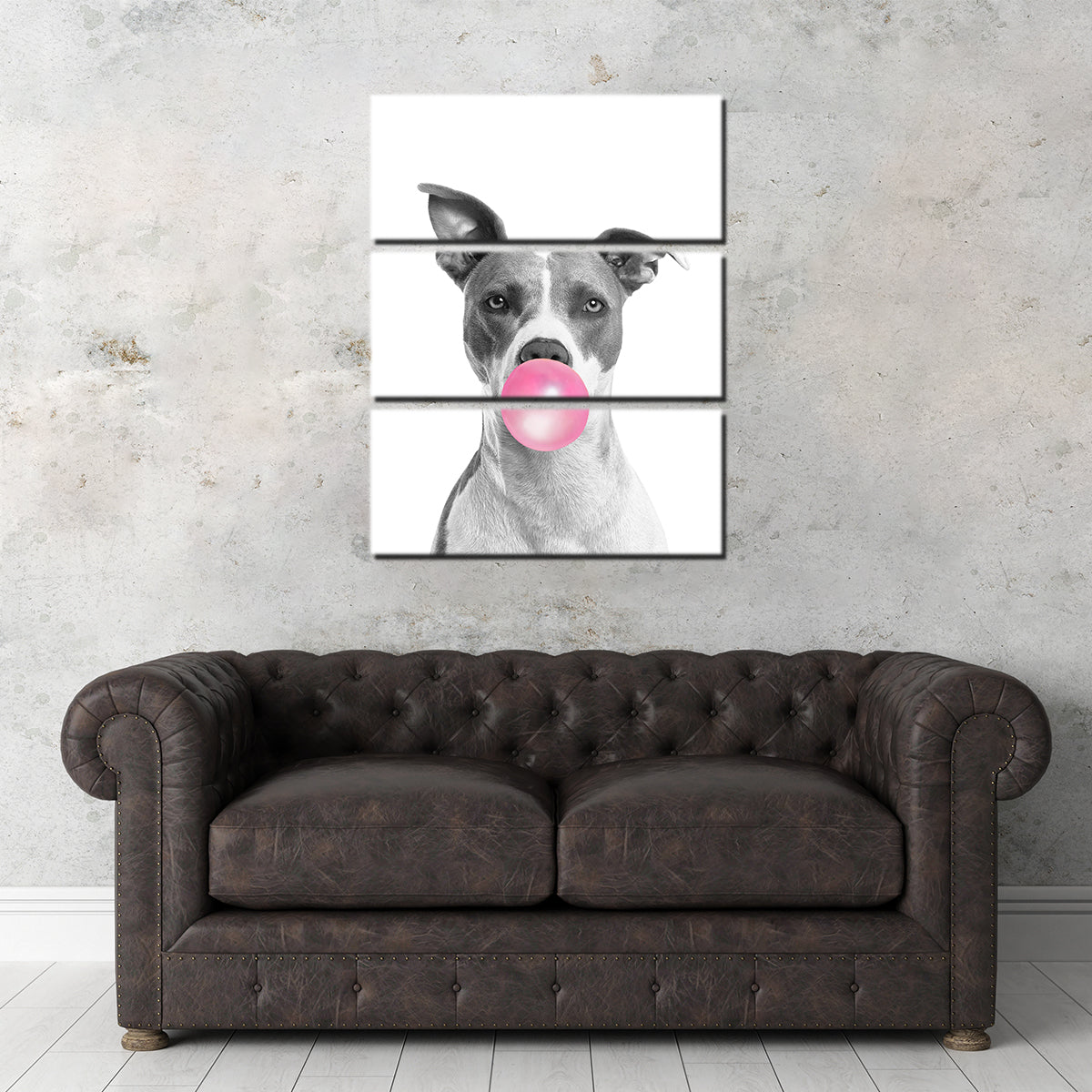 Funny Dog Wall Art