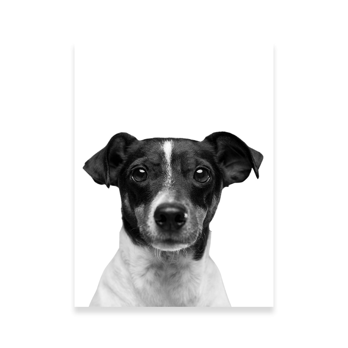 Cutie Dog Wall Art