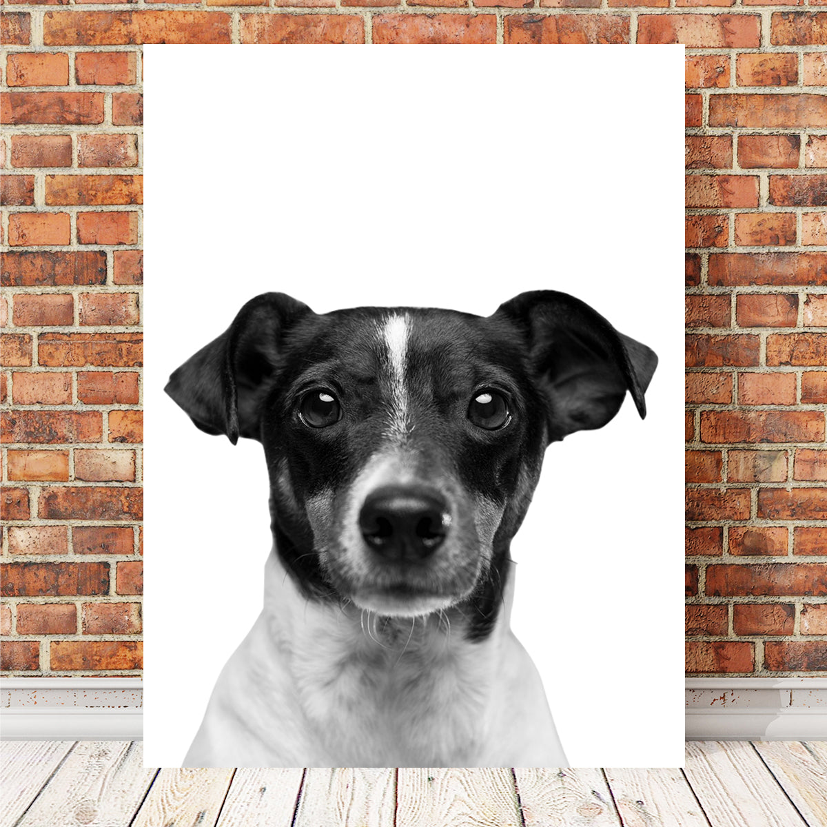 Cutie Dog Wall Art