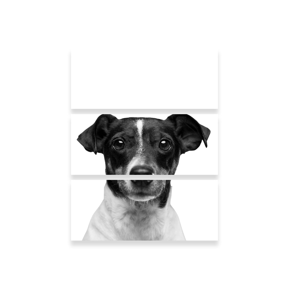 Cutie Dog Wall Art