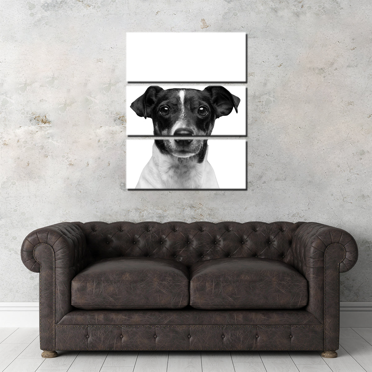 Cutie Dog Wall Art