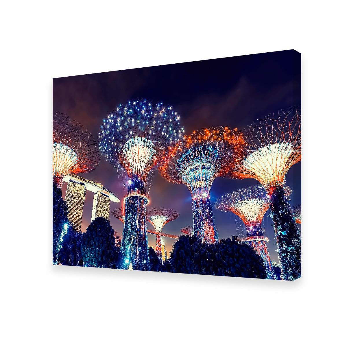 Gardens By The Bay Wall Art