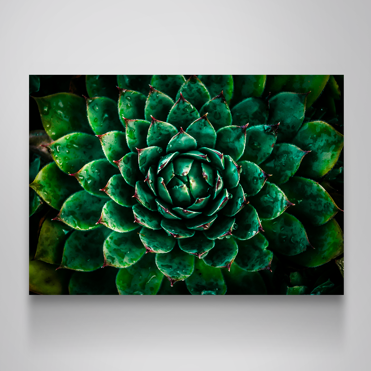 Green Wall Art