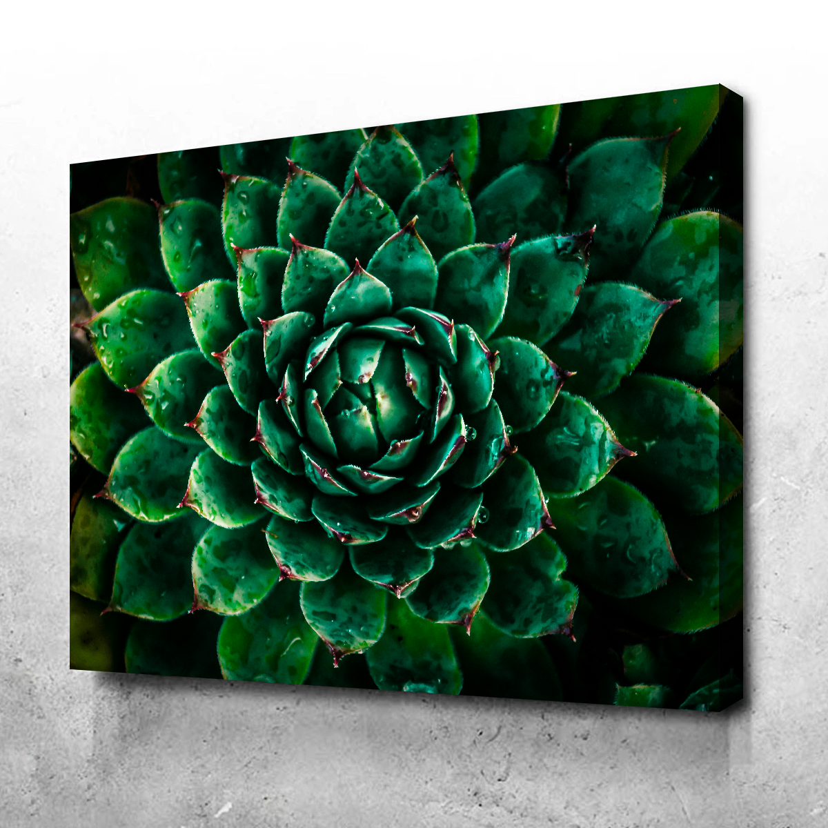 Green Wall Art