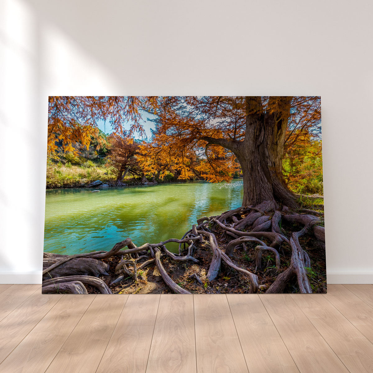 Guadalupe State Park Wall Art