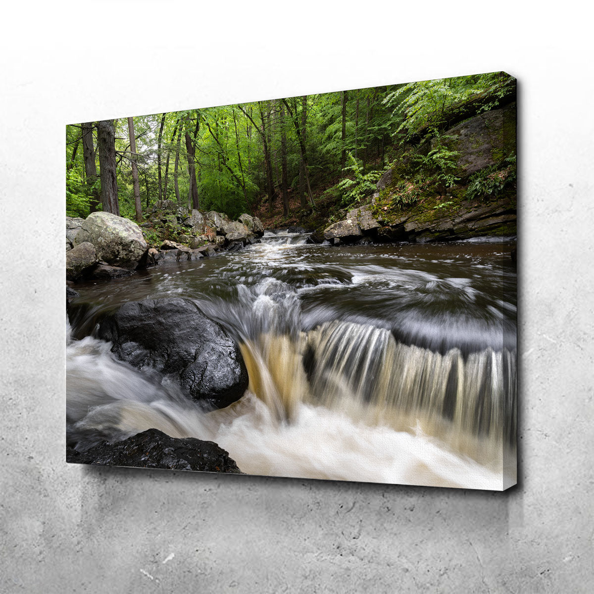 Black River in Summer Wall Art