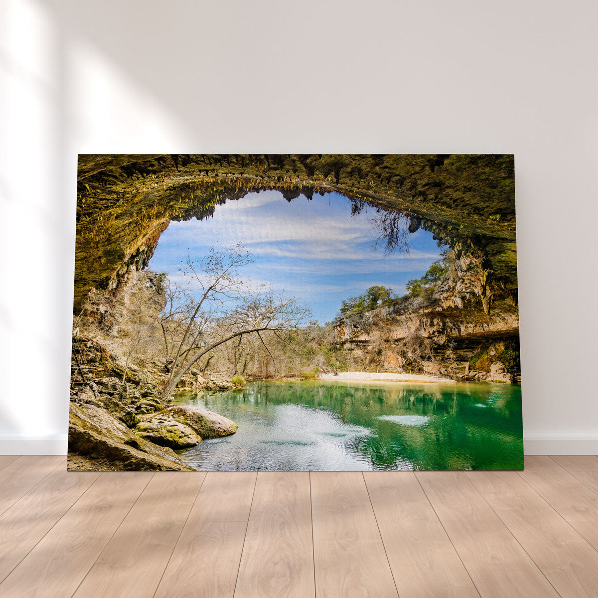 Hamilton Pool Preserve Wall Art