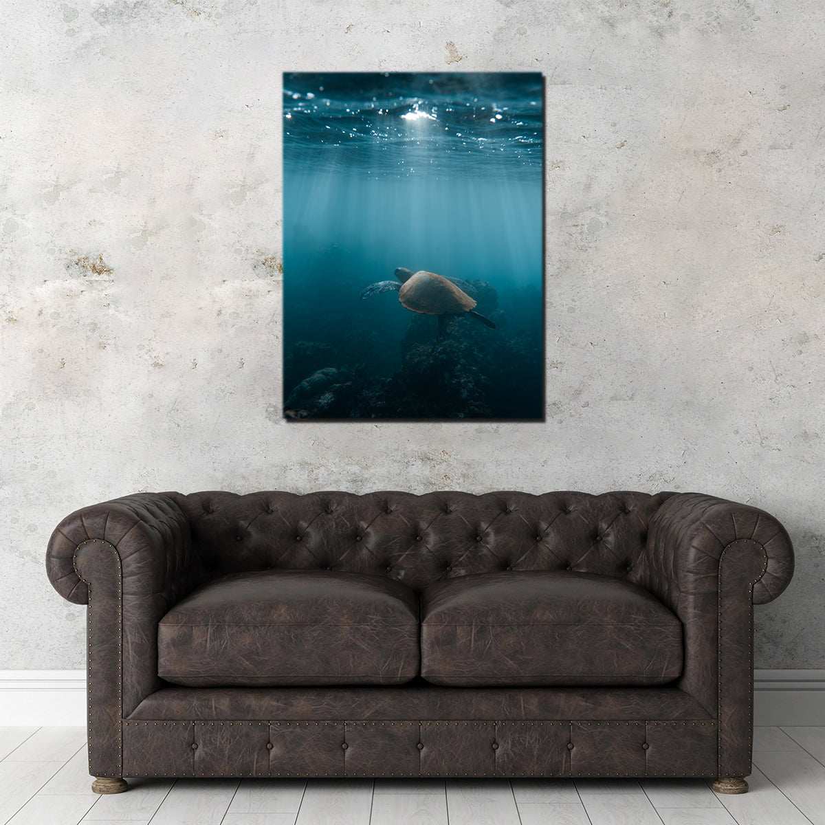 Hawaii Turtle Wall Art