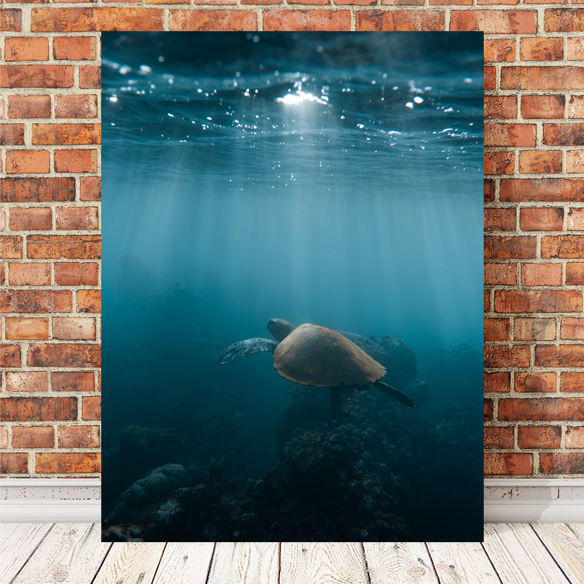 Hawaii Turtle Wall Art