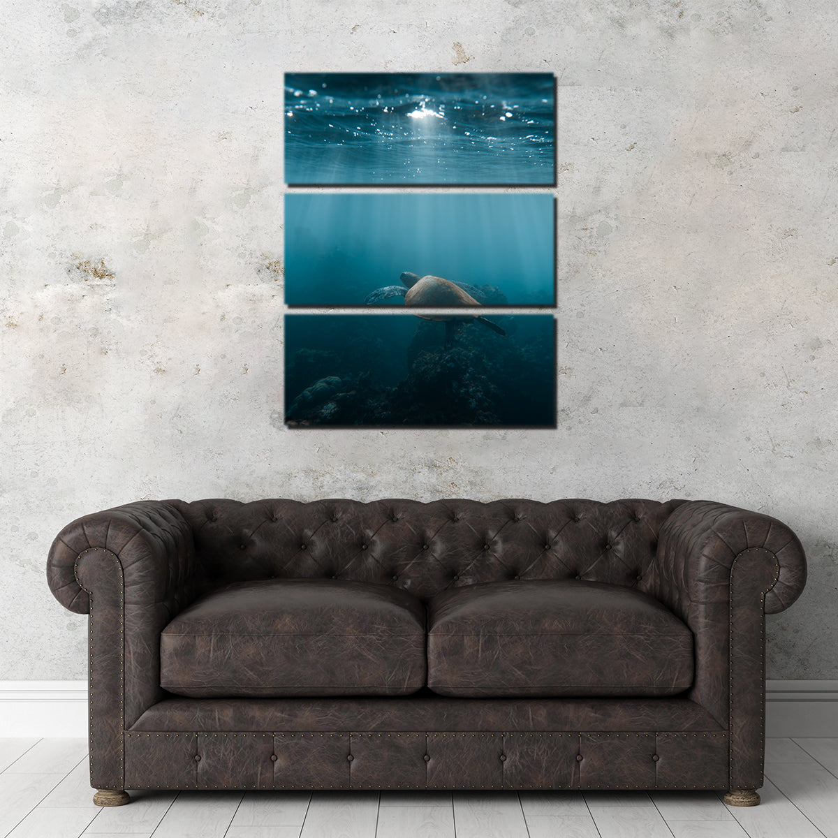 Hawaii Turtle Wall Art