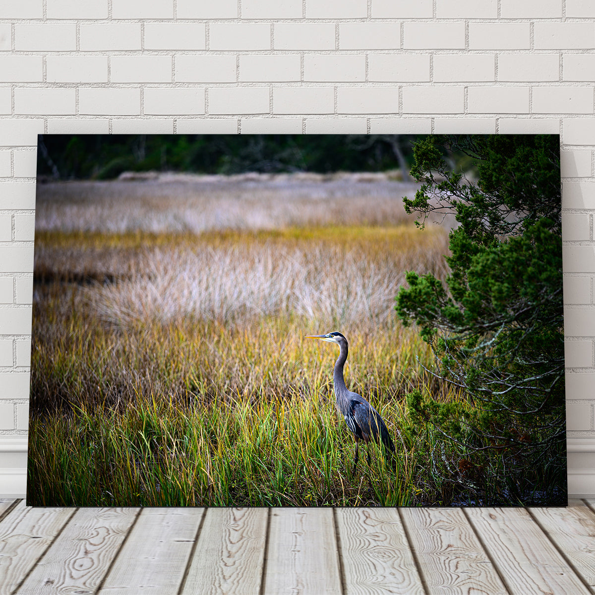 Heron Jekyll Island Wall Art