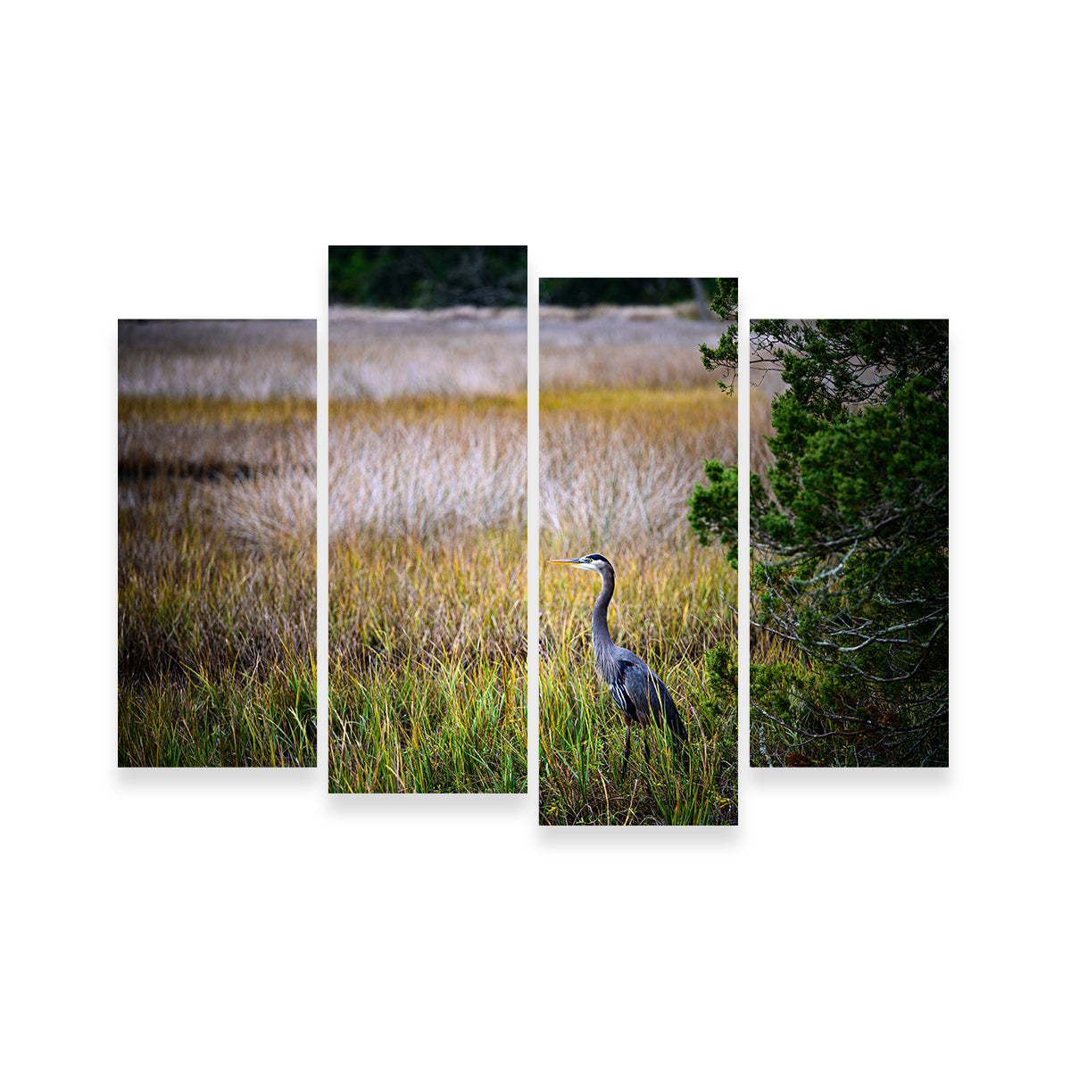 Heron Jekyll Island Wall Art