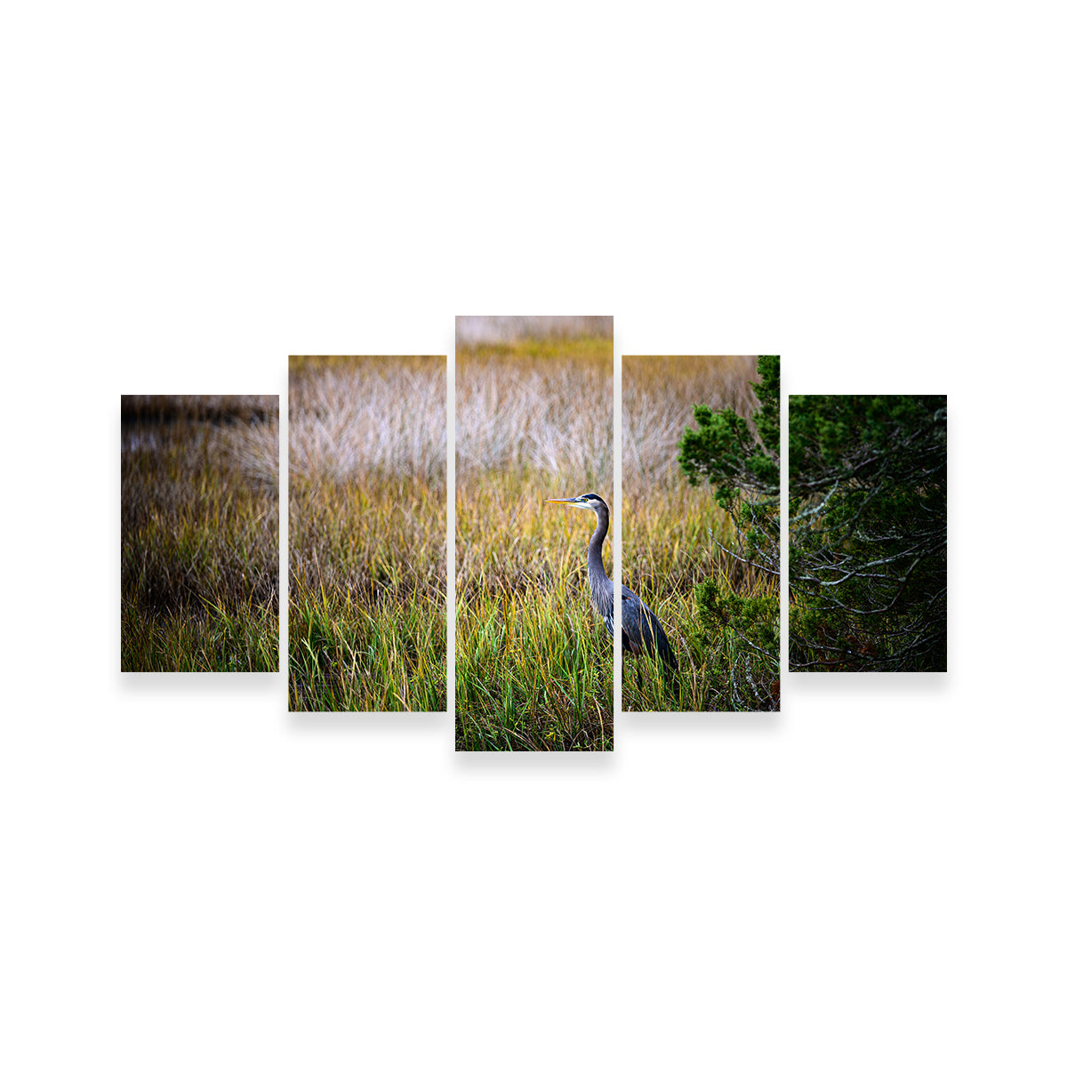 Heron Jekyll Island Wall Art
