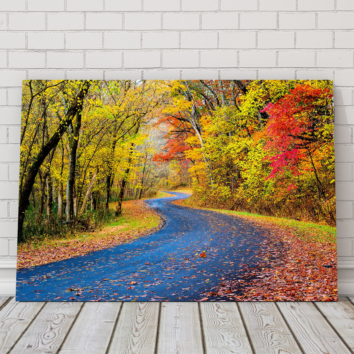 Hocking Hills fall foliage Wall Art