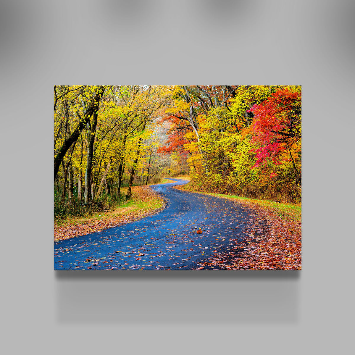 Hocking Hills fall foliage Wall Art