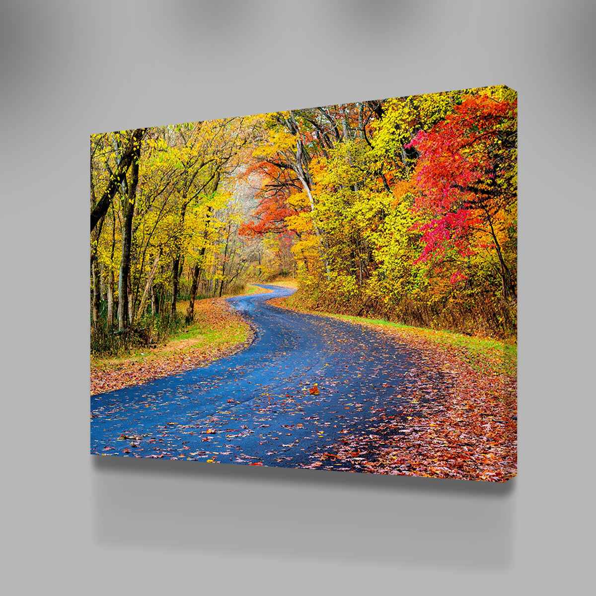 Hocking Hills fall foliage Wall Art