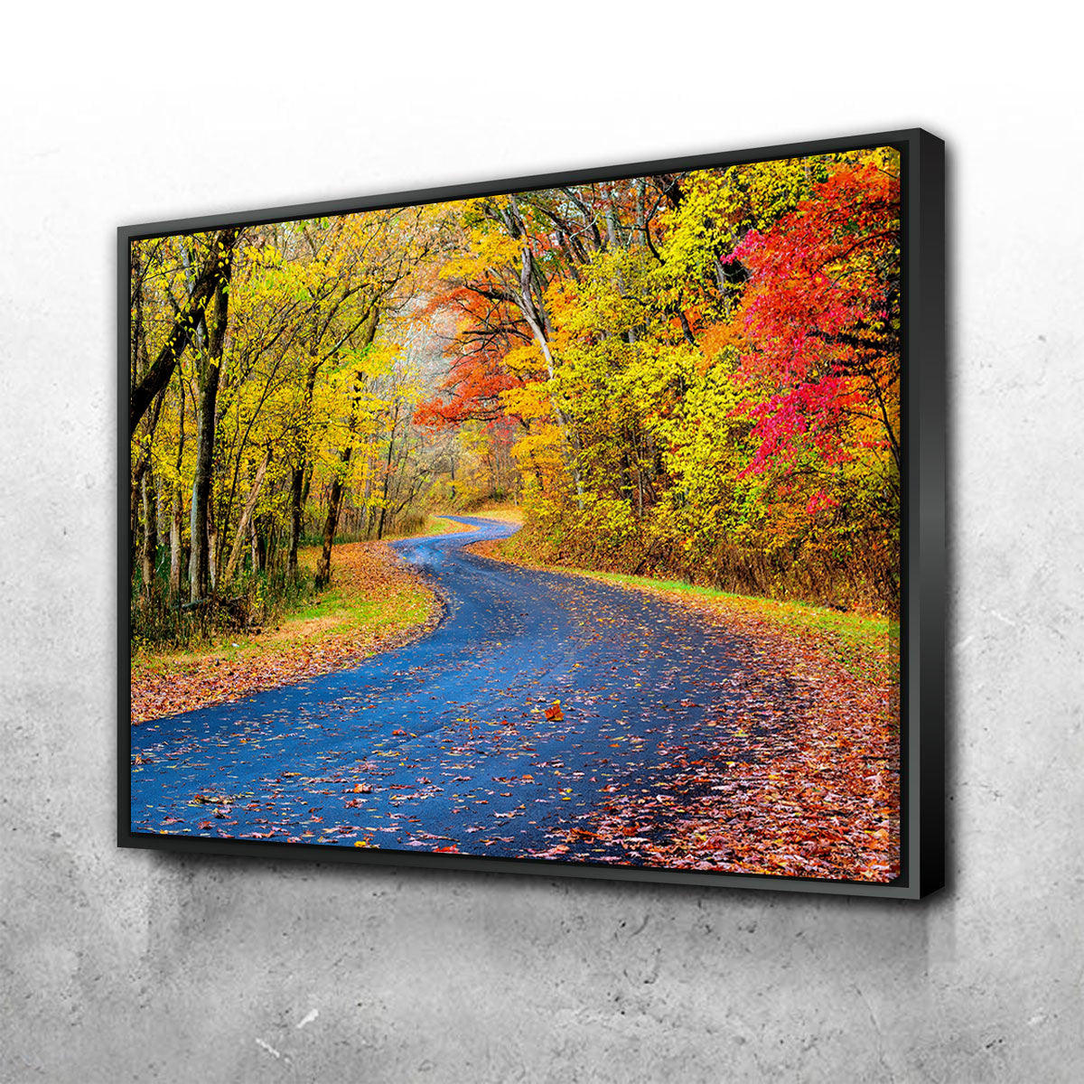 Hocking Hills fall foliage Wall Art