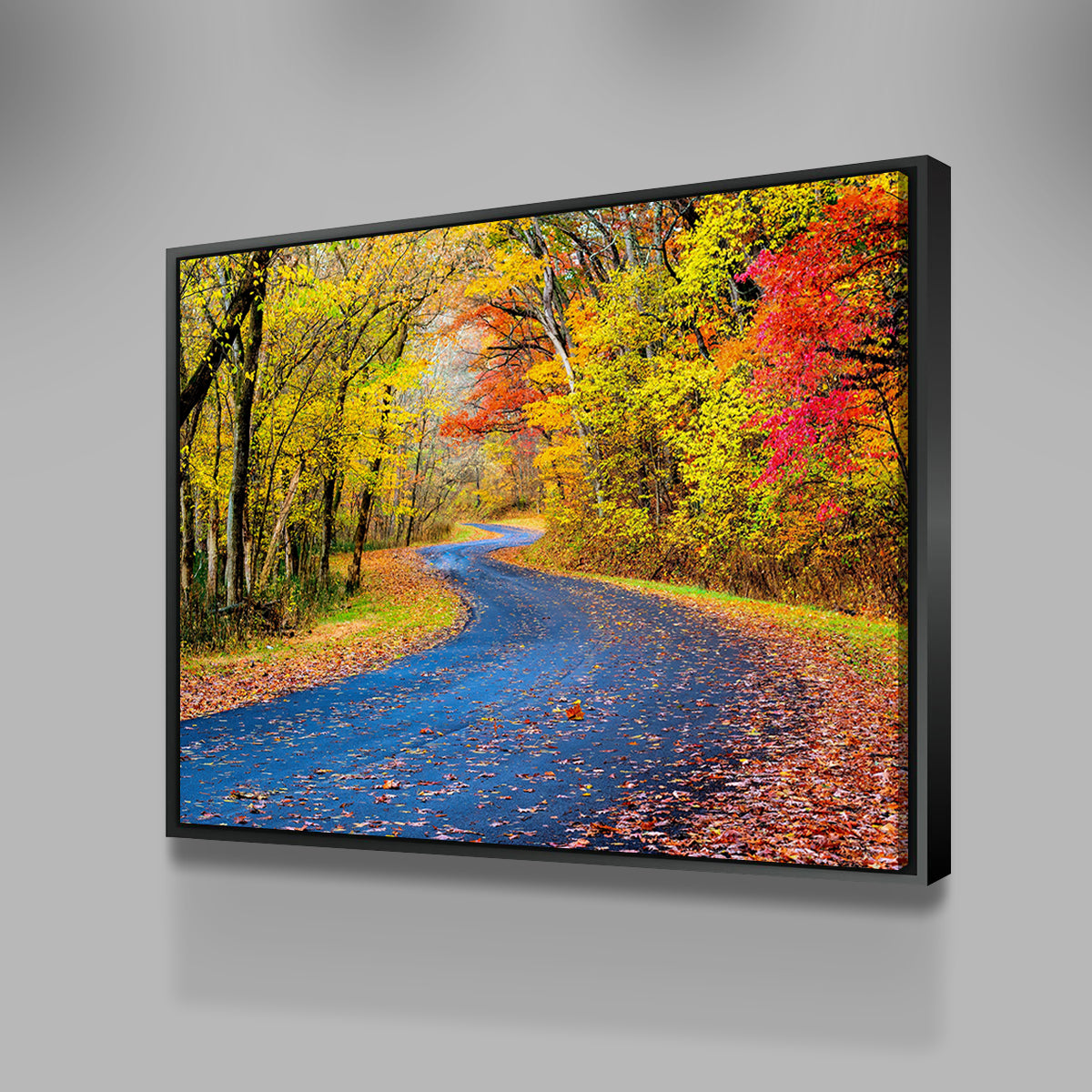 Hocking Hills fall foliage Wall Art