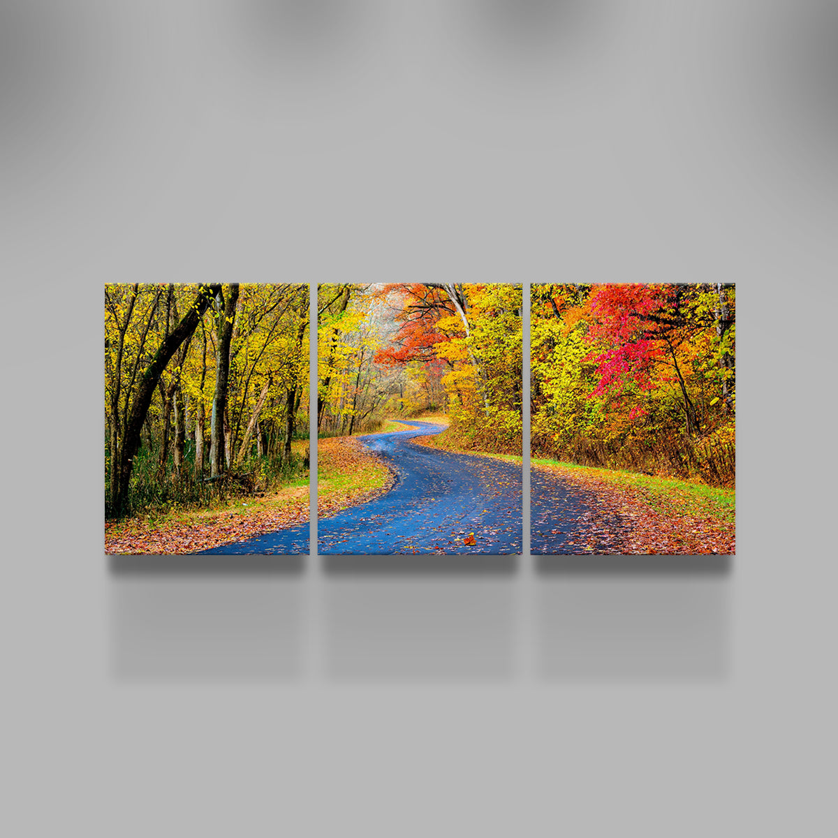 Hocking Hills fall foliage Wall Art