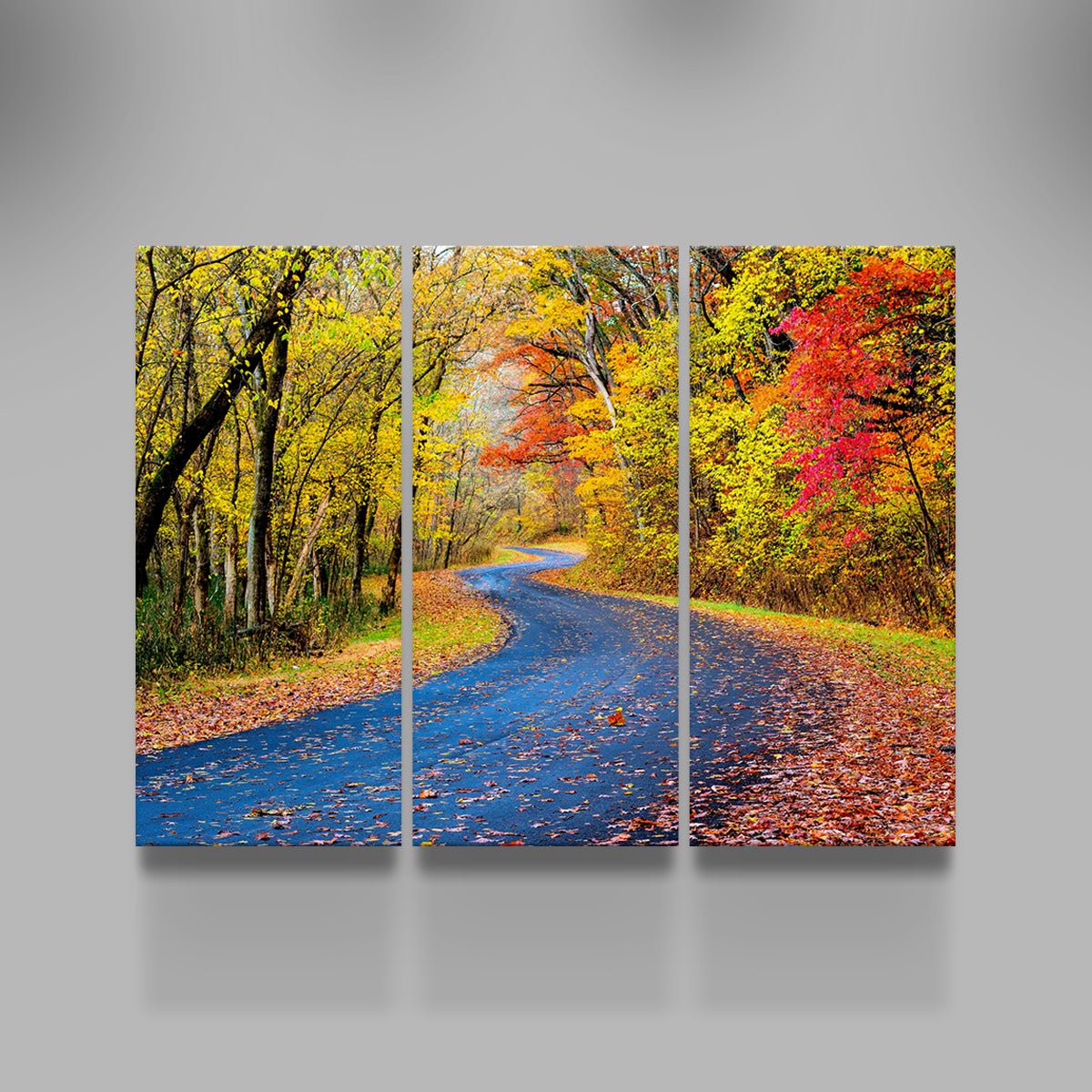 Hocking Hills fall foliage Wall Art
