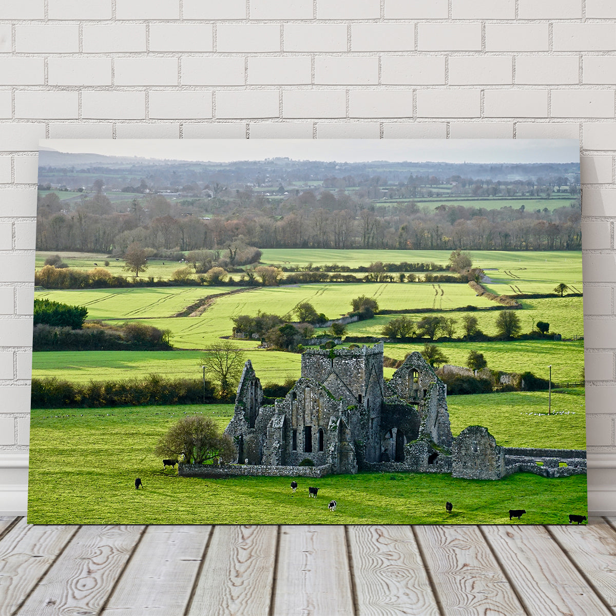 Hore Abbey, Ireland Wall Art