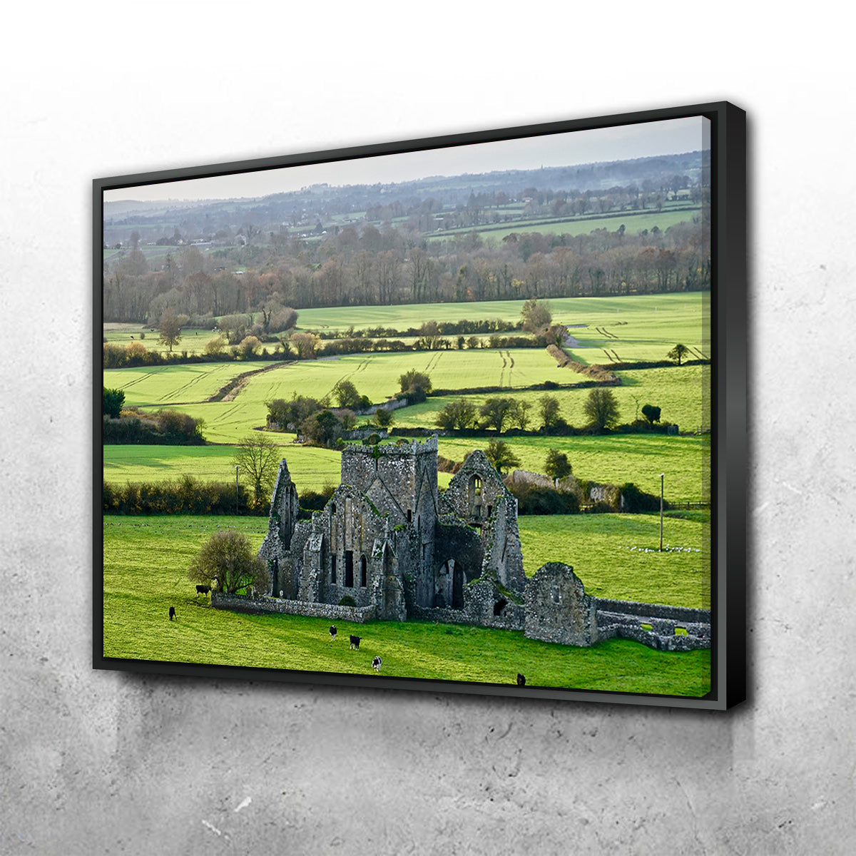 Hore Abbey, Ireland Wall Art