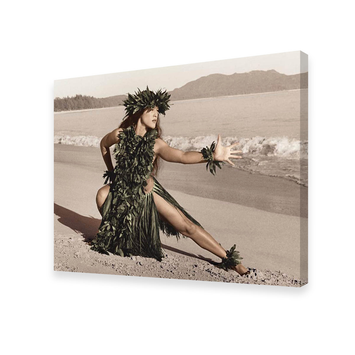 Hula Dancer Wall Art