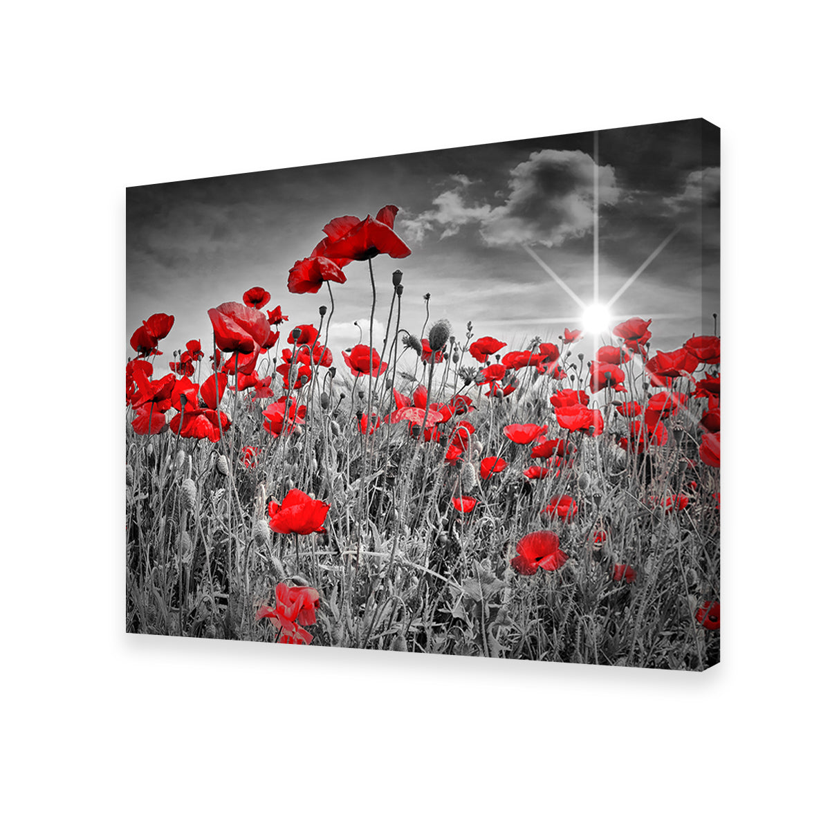 Idyllic Field of Poppies with Sun Wall Art