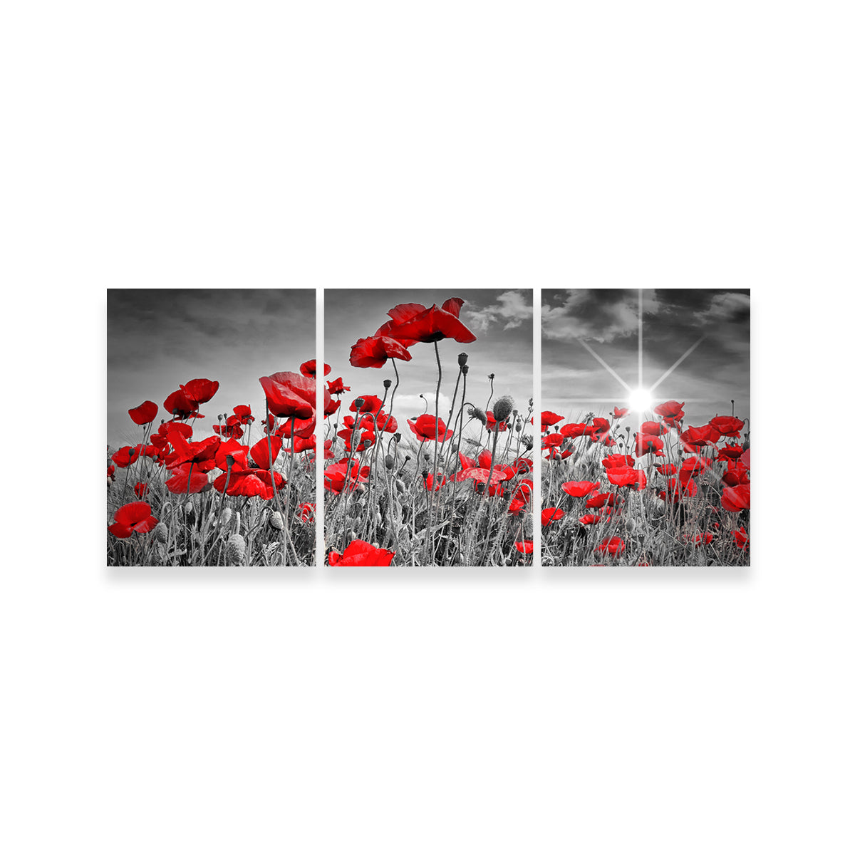 Idyllic Field of Poppies with Sun Wall Art
