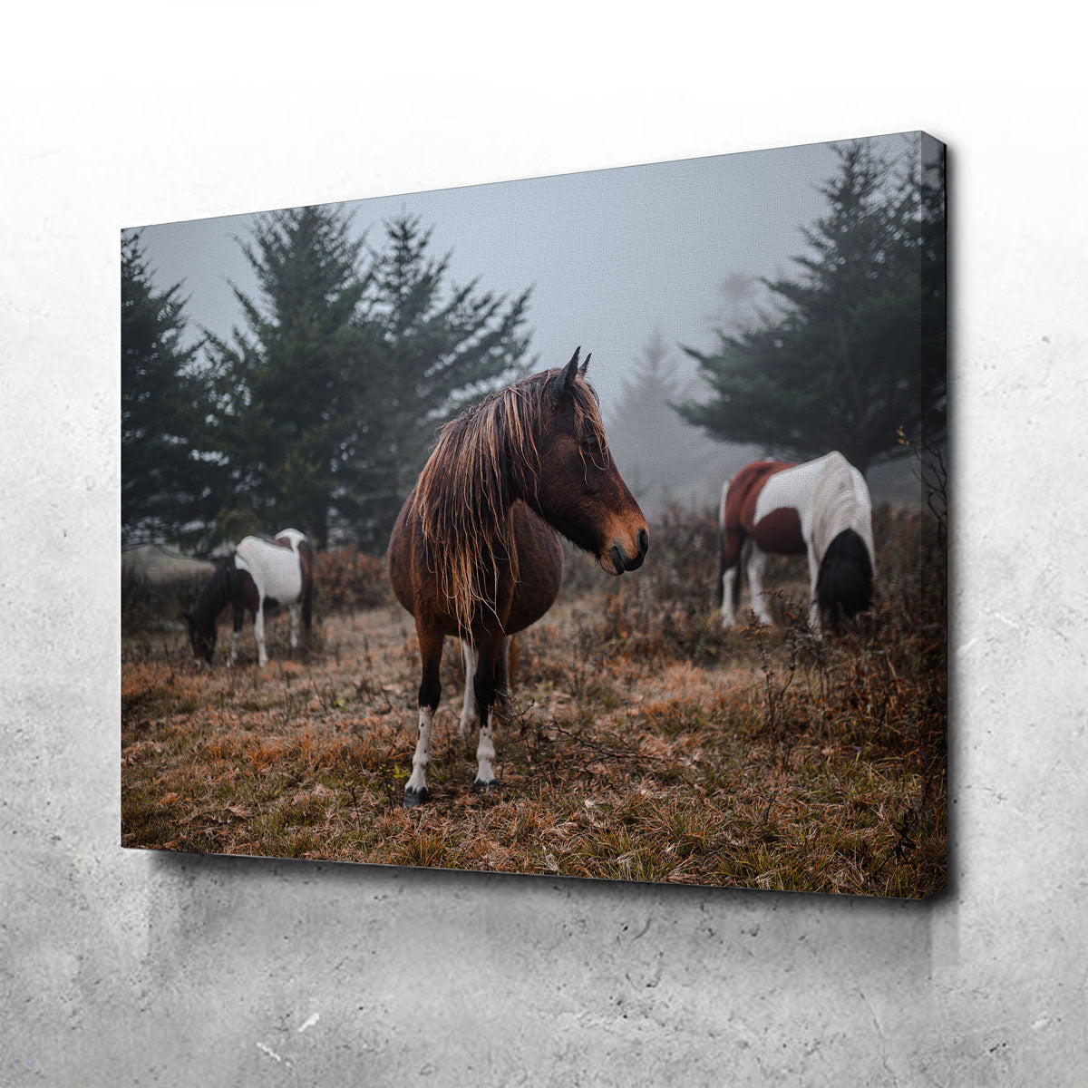 In The Wild Wall Art