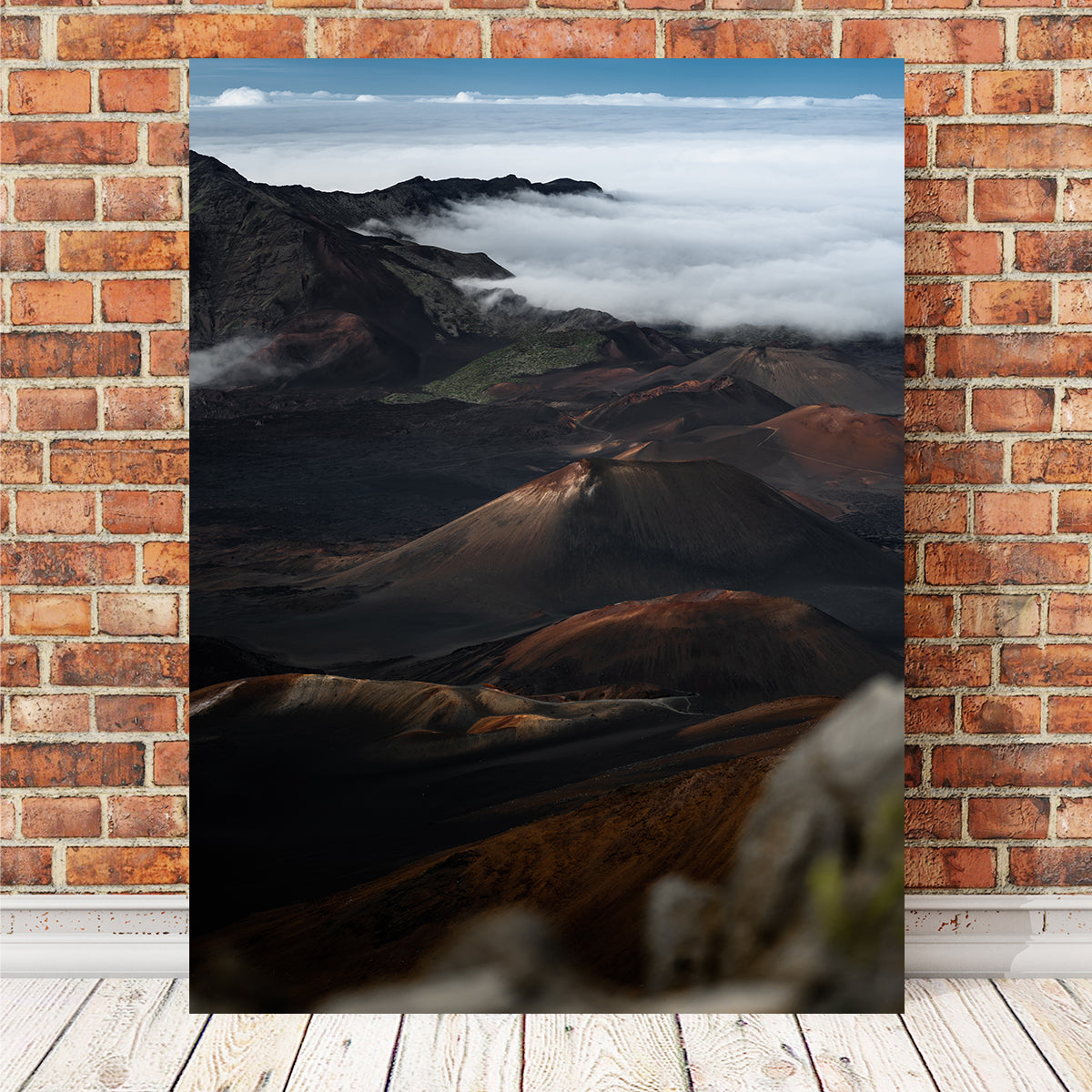 In the Crater Wall Art