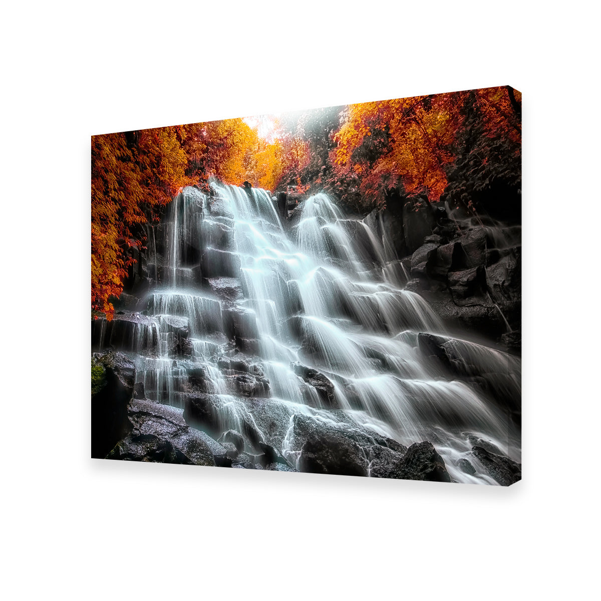 Into The Wood Wall Art