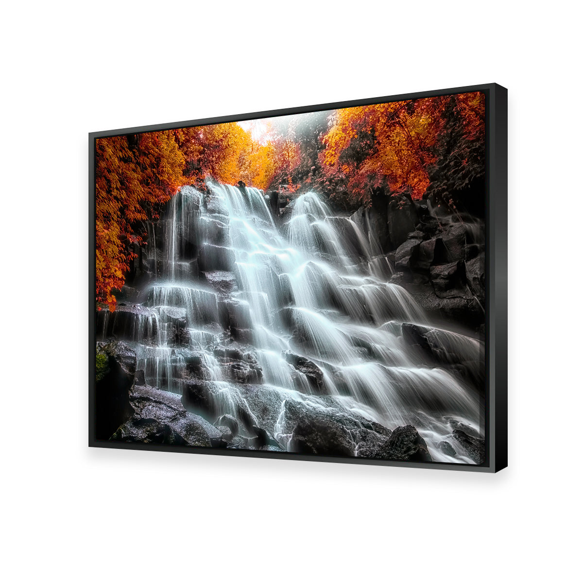 Into The Wood Wall Art