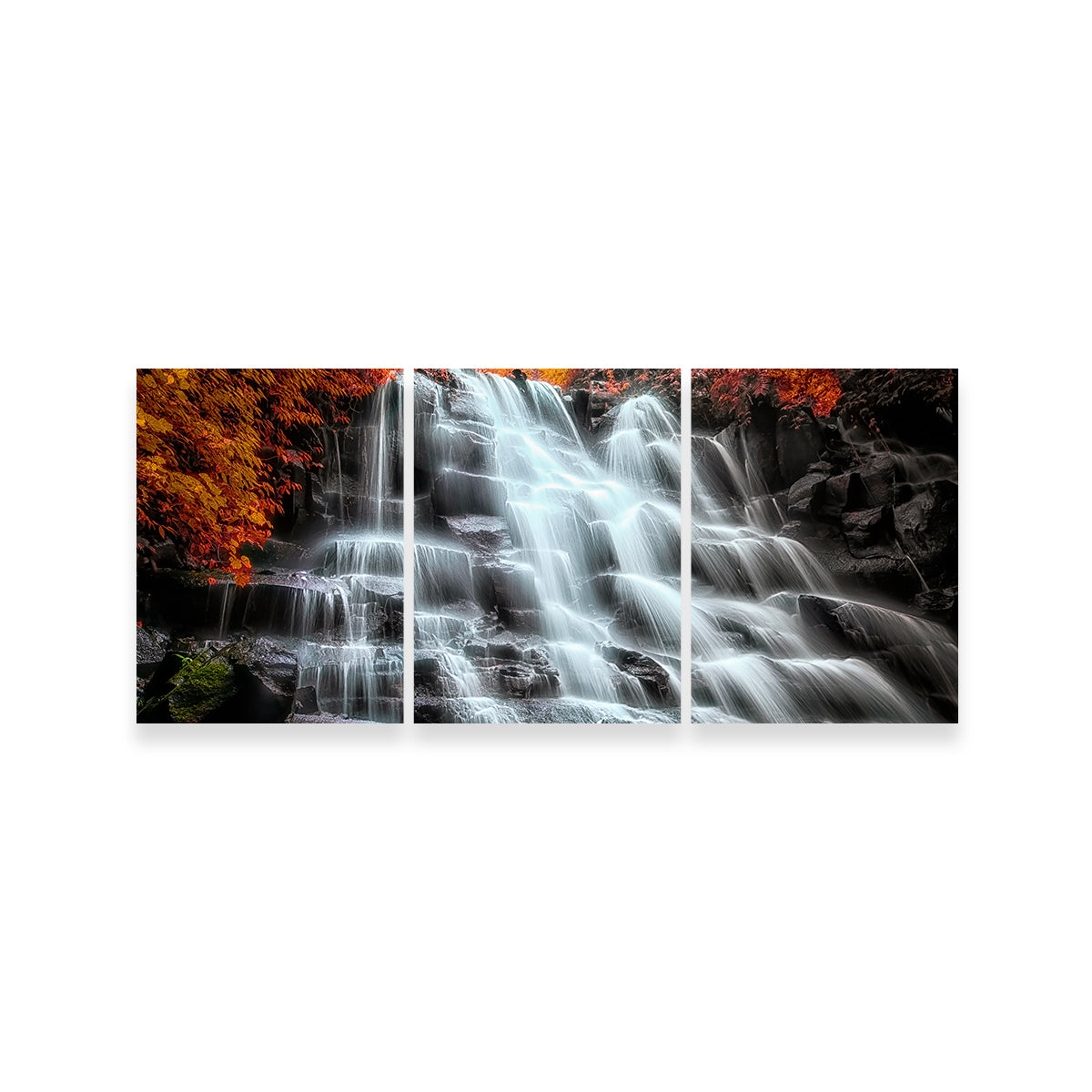 Into The Wood Wall Art