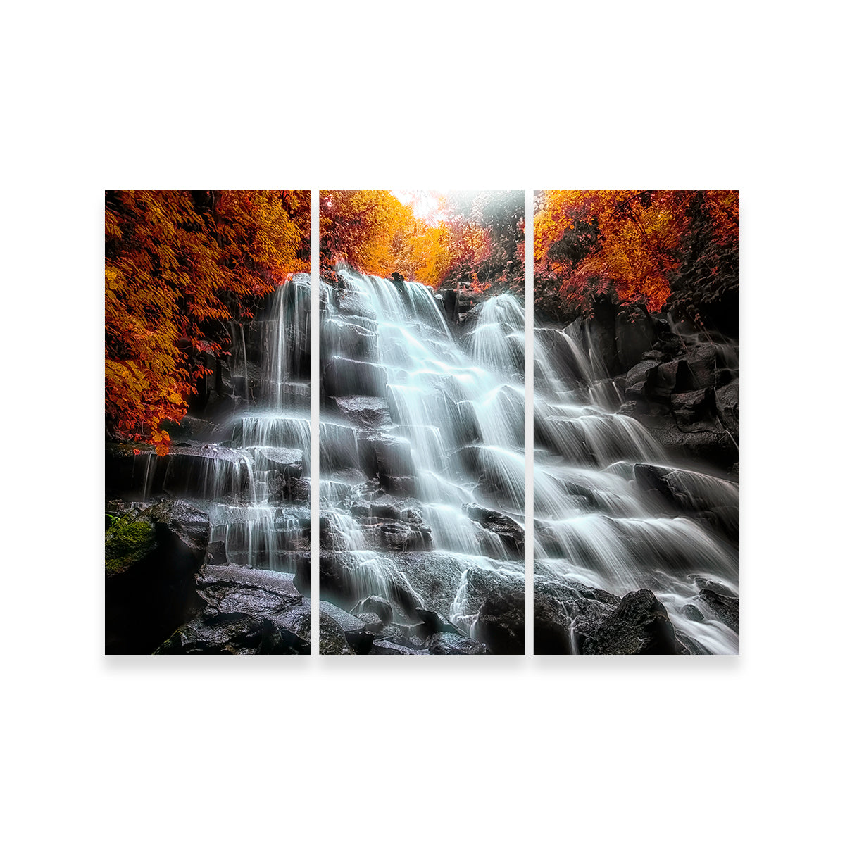 Into The Wood Wall Art