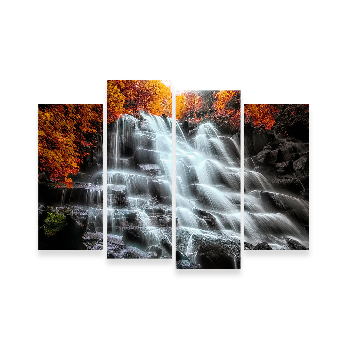 Into The Wood Wall Art