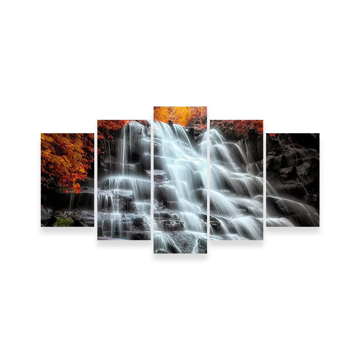 Into The Wood Wall Art