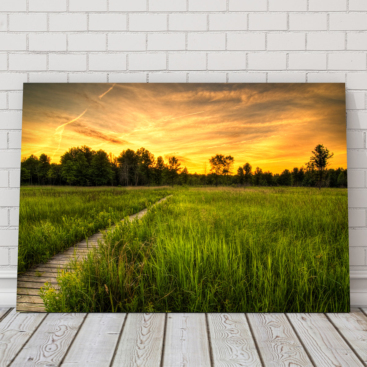 Irwin Prairie in Toledo Wall Art