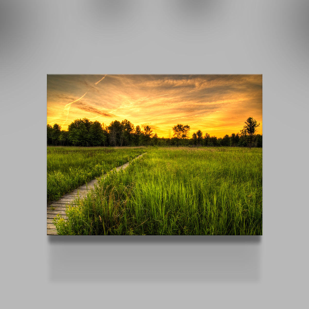 Irwin Prairie in Toledo Wall Art