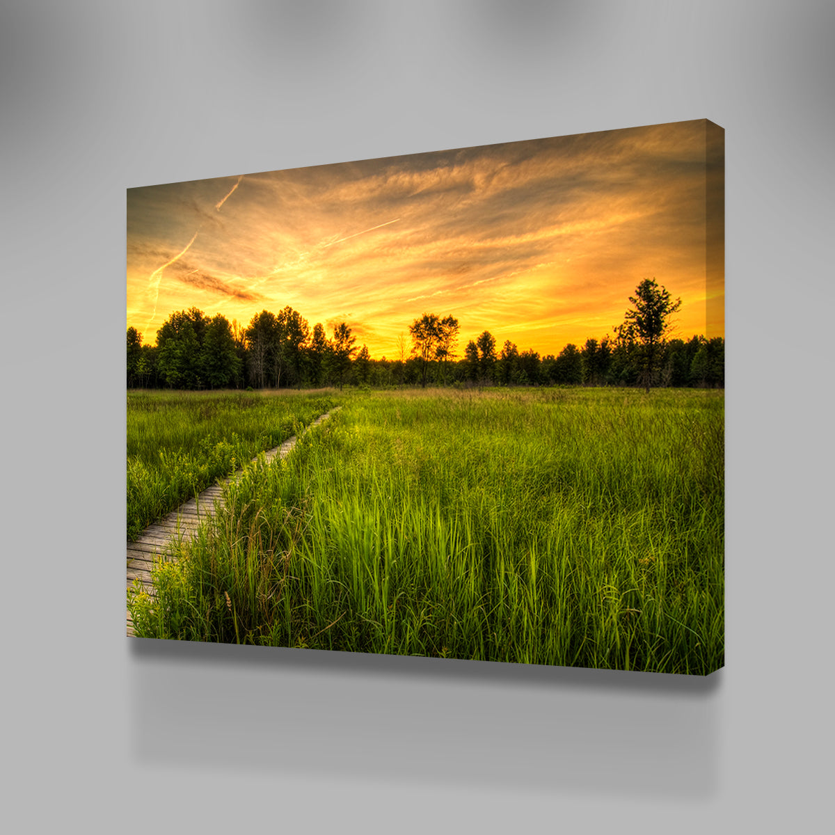 Irwin Prairie in Toledo Wall Art