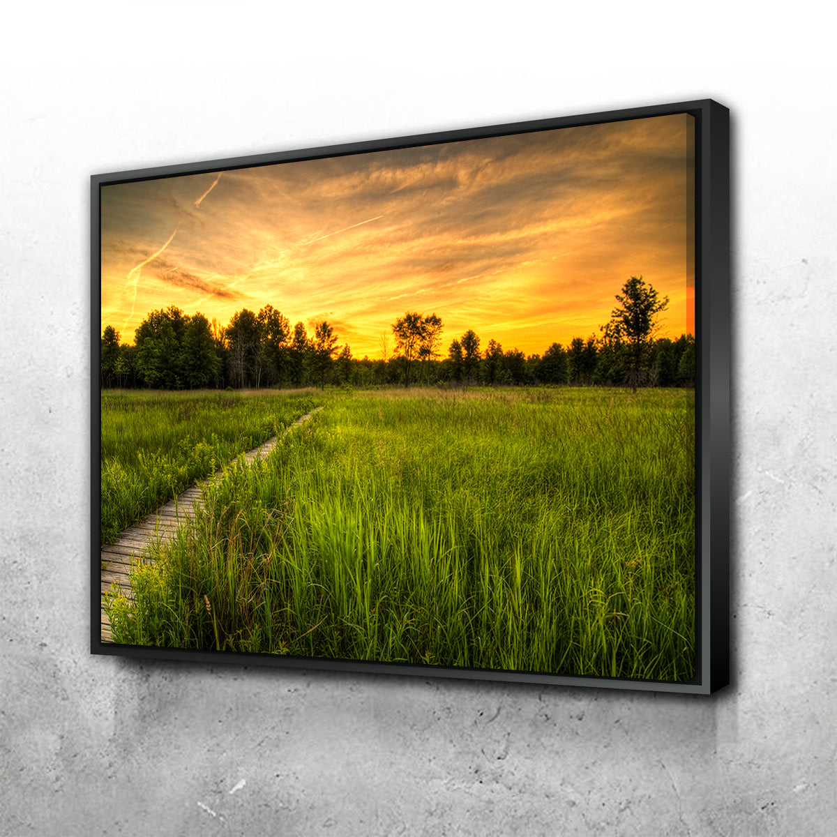 Irwin Prairie in Toledo Wall Art