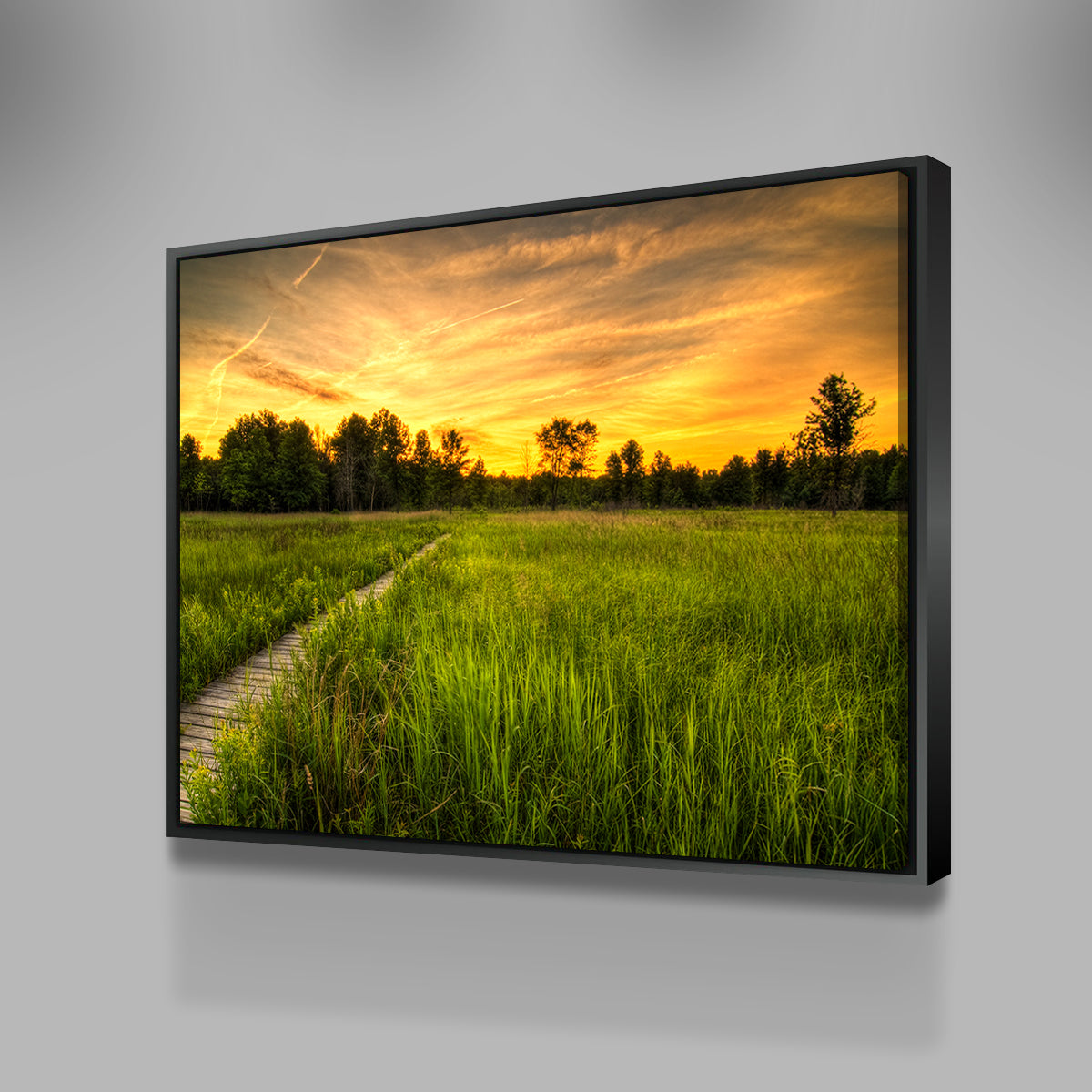 Irwin Prairie in Toledo Wall Art