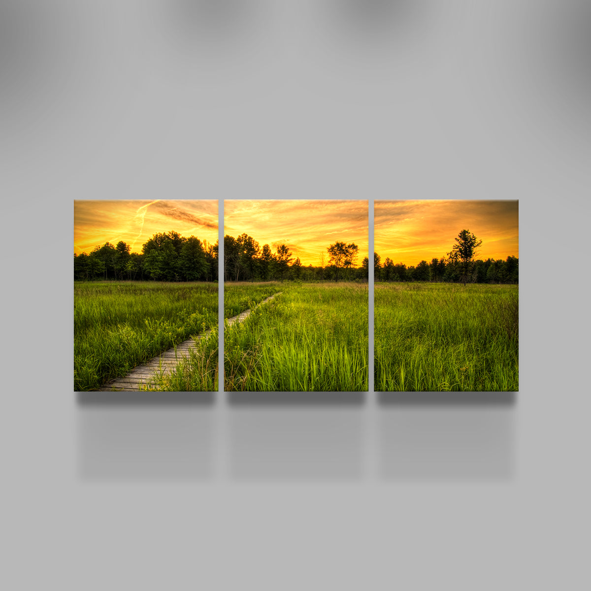 Irwin Prairie in Toledo Wall Art