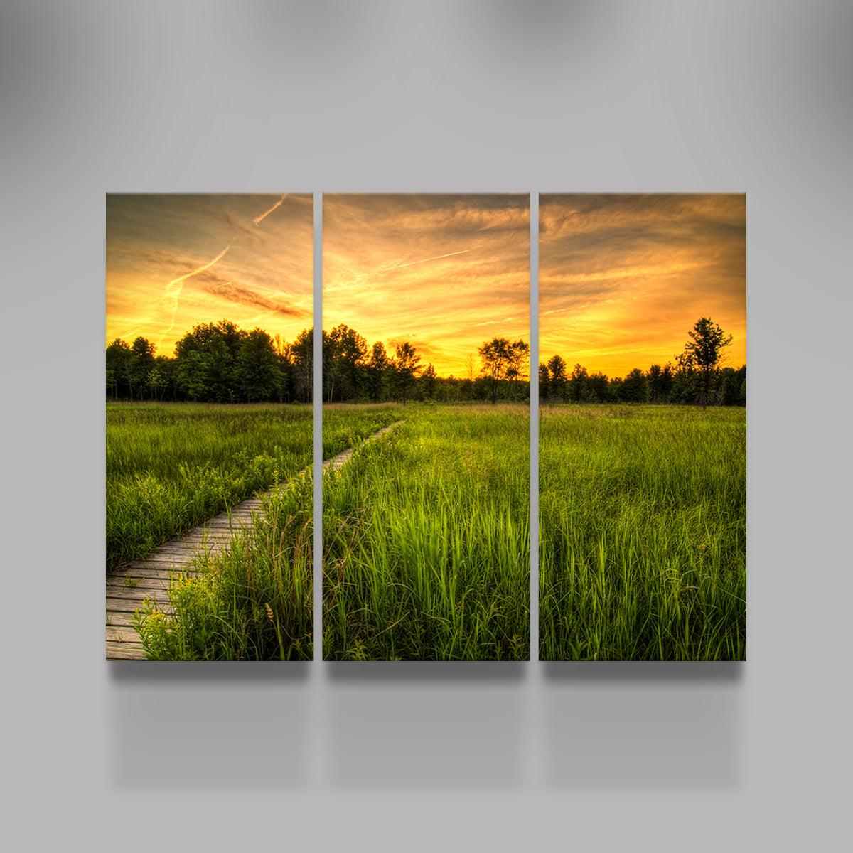 Irwin Prairie in Toledo Wall Art