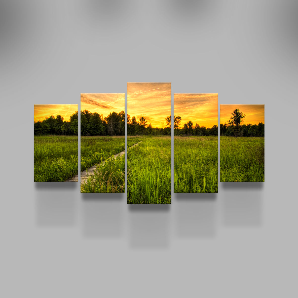 Irwin Prairie in Toledo Wall Art
