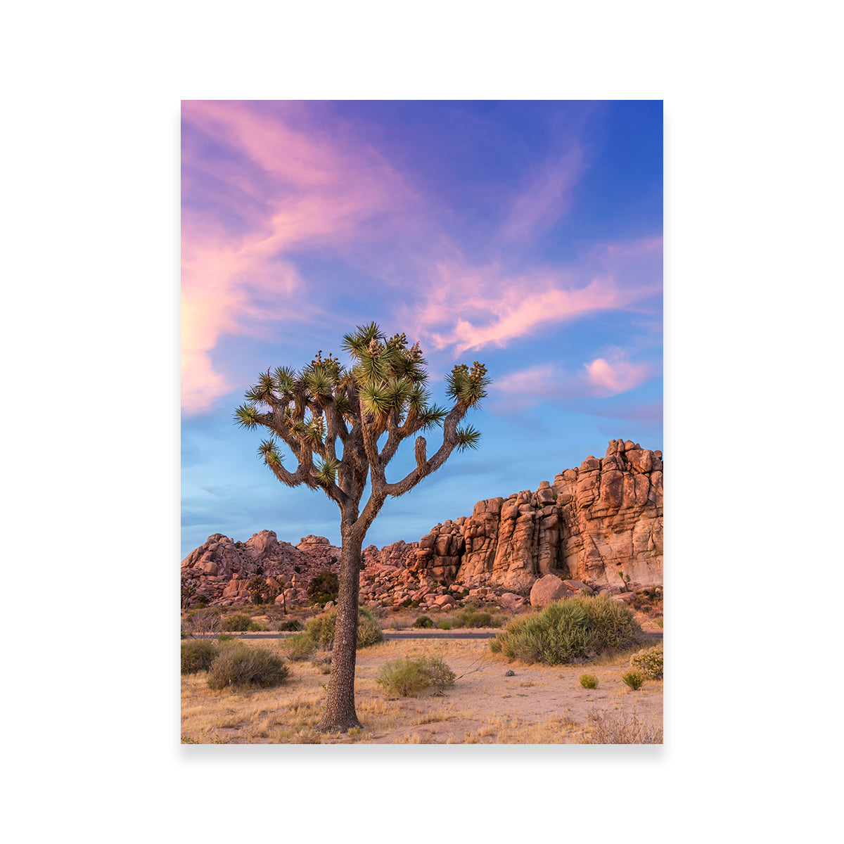 Joshua Tree Evening Atmosphere Wall Art