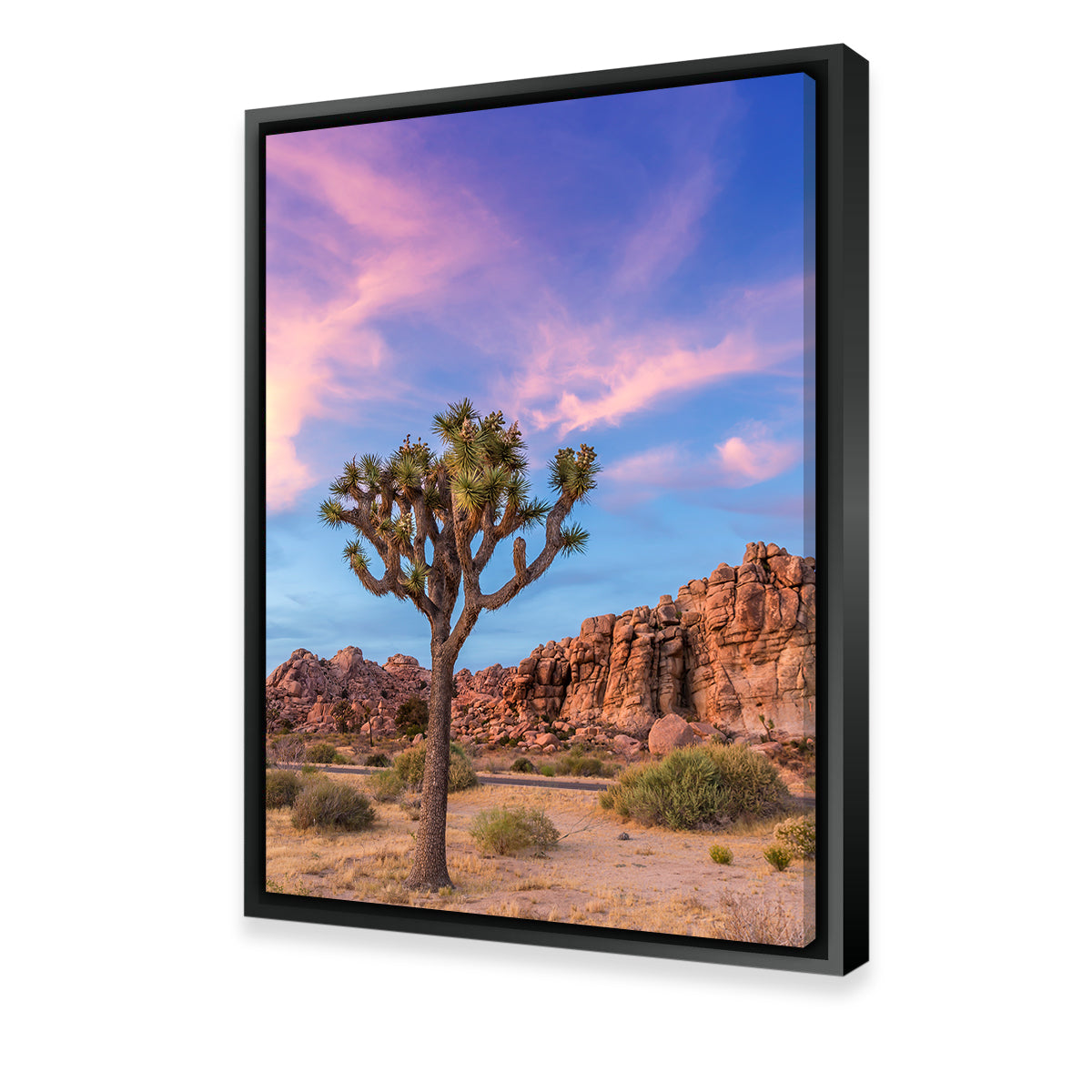 Joshua Tree Evening Atmosphere Wall Art